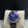 IWC PILOT IW-010