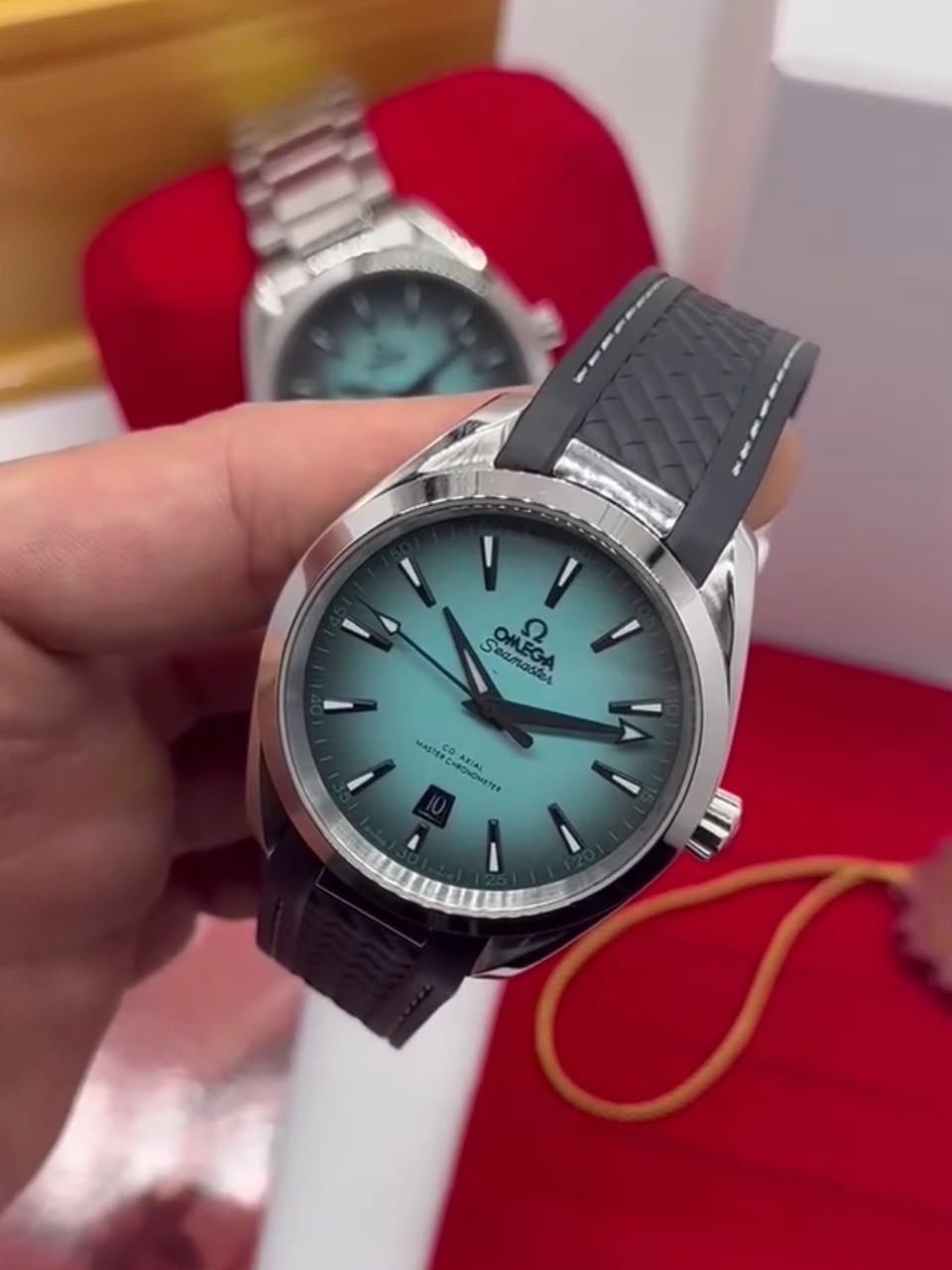 Omega Aqua Terra